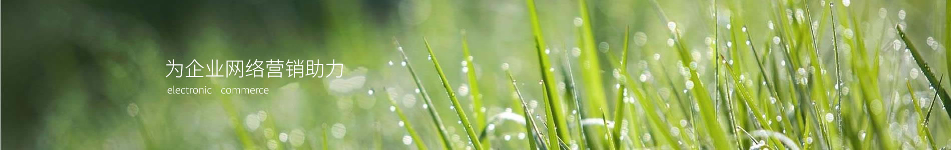 ̫ԭƼ޹˾